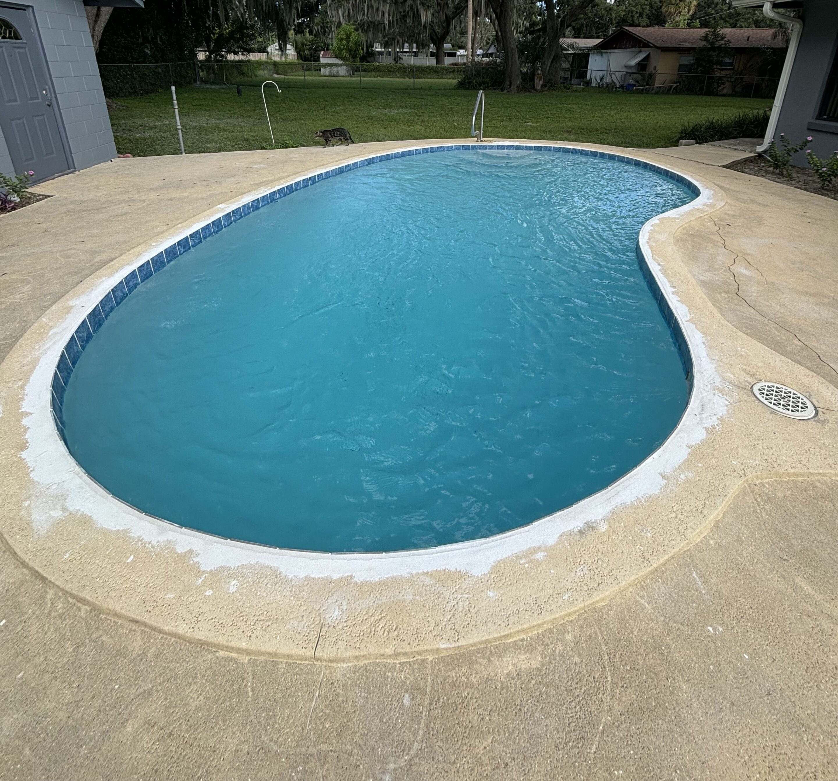 top Pool Resurfacing in Mount Dora